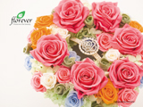 079｜The beauty of Florever Preserved Flowers