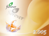 002｜The beauty of Florever Preserved Flowers