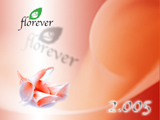 001｜The beauty of Florever Preserved Flowers