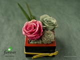 026｜The beauty of Florever Preserved Flowers