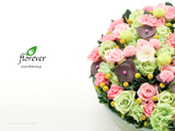 030｜The beauty of Florever Preserved Flowers
