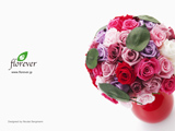 047｜The beauty of Florever Preserved Flowers