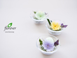 049｜The beauty of Florever Preserved Flowers