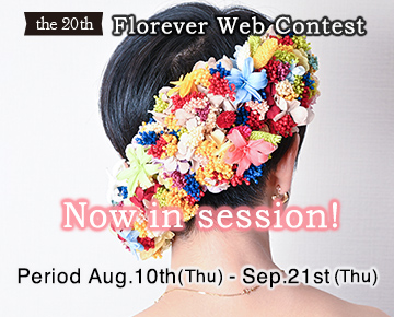 Web Contest2023