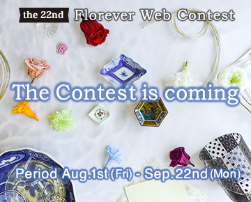 Web Contest