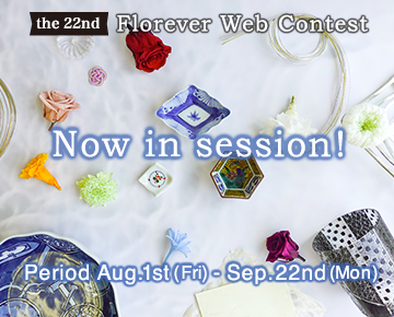 Web Contest