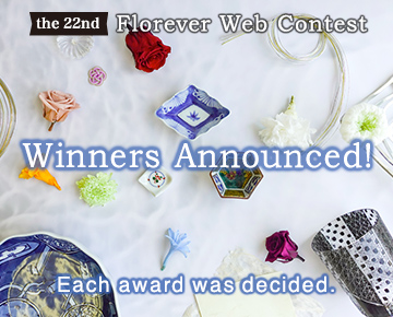 Web Contest
