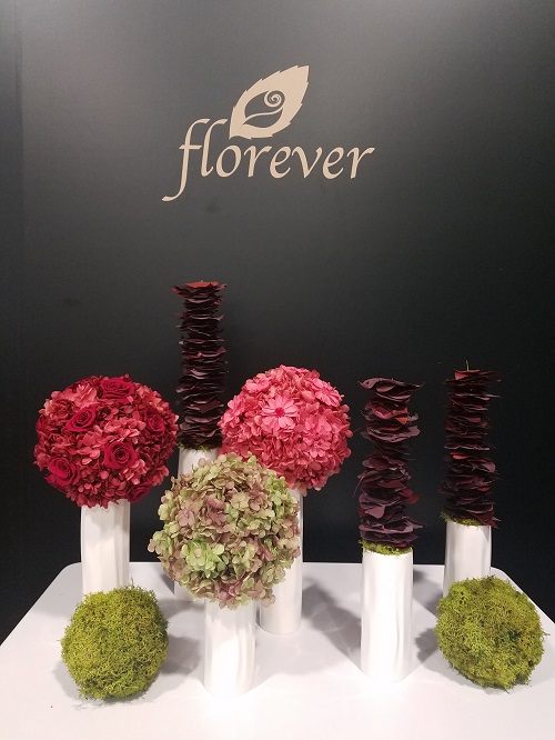 News & Events／Event reports Preserved Flowers Florever
