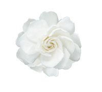 <p>1-Pearl White</p>