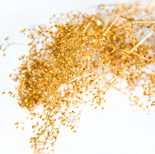 Gold