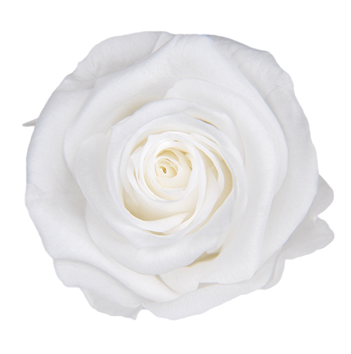 Pearl White